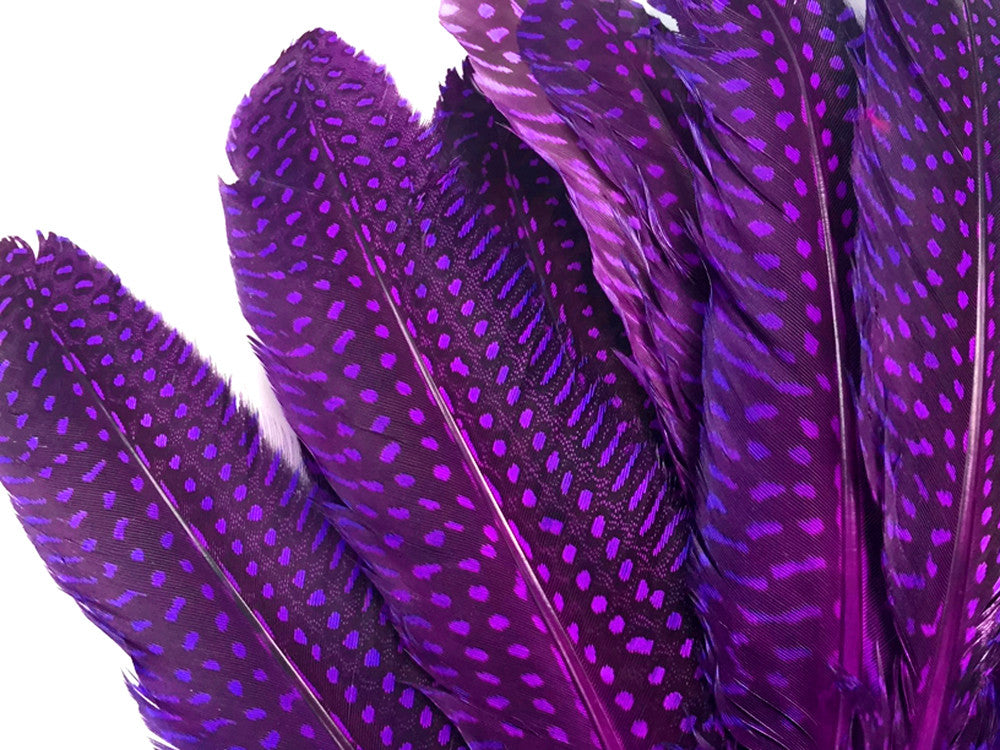 10 Pieces - Dyed Purple Polka Dot Guinea Fowl Wing Quill Feathers