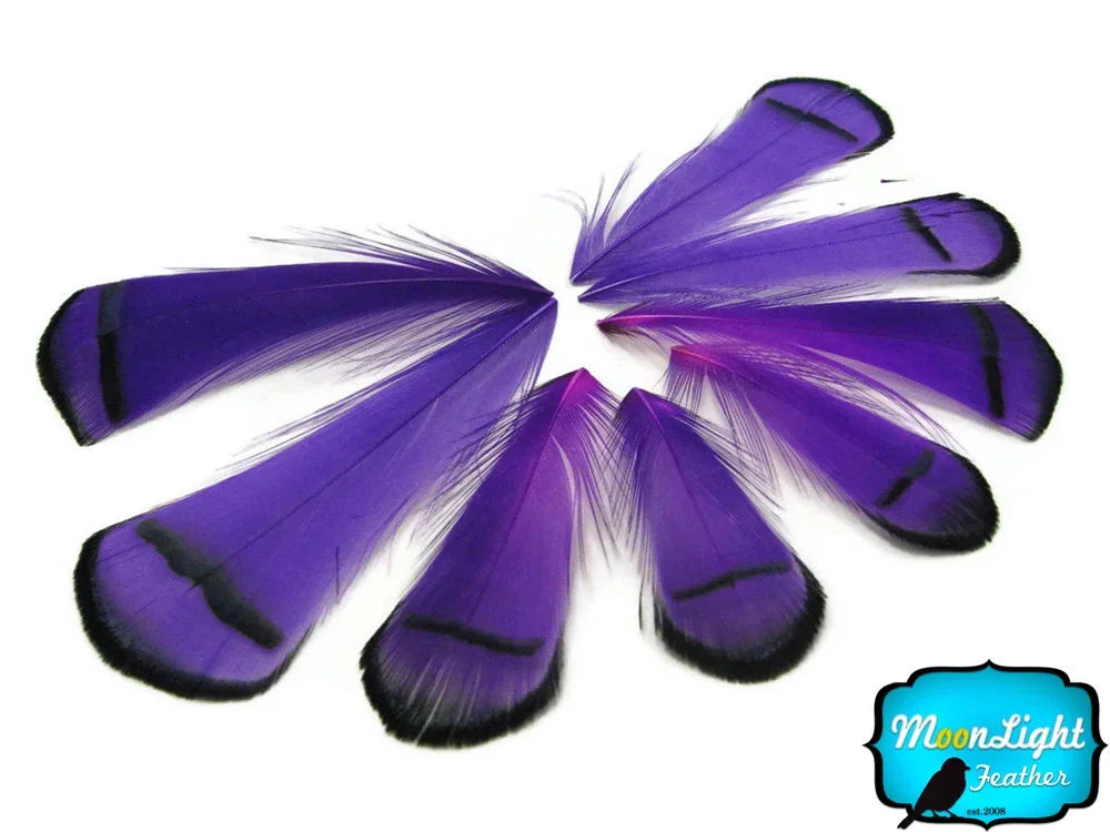 Vibrant purple dyed feathers with black tips for DIY crafts and fashion decor.