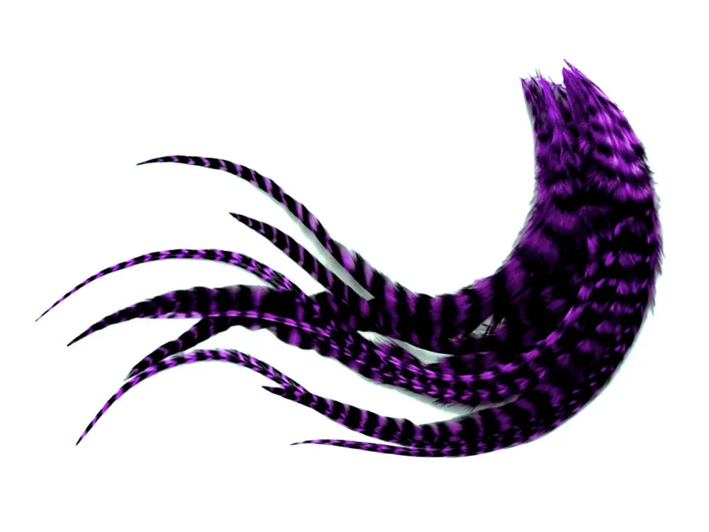 Vibrant purple and black striped feathers for DIY crafts and fashion accessories.