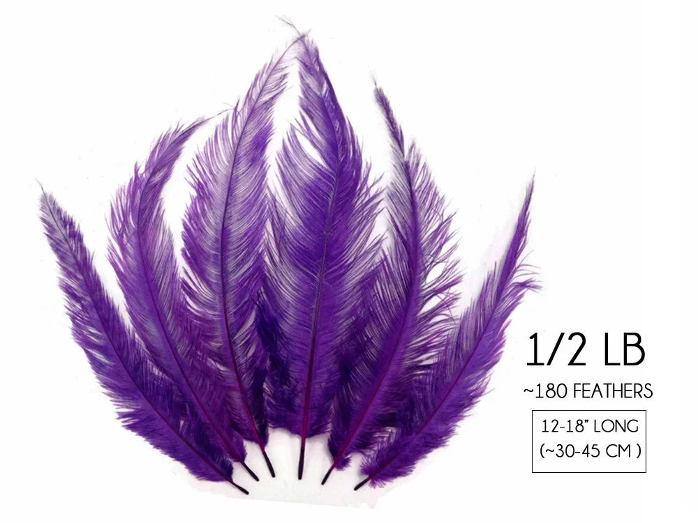 Vibrant purple feathers for crafts and fashion, 12-18 inches long, approximately 180 feathers.