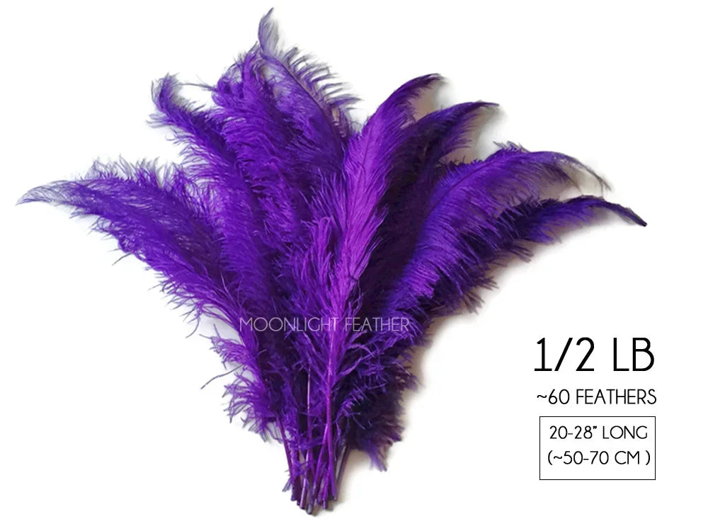 Bundle of 60 vibrant purple ostrich feathers, 20-28 inches long for crafts and decor.