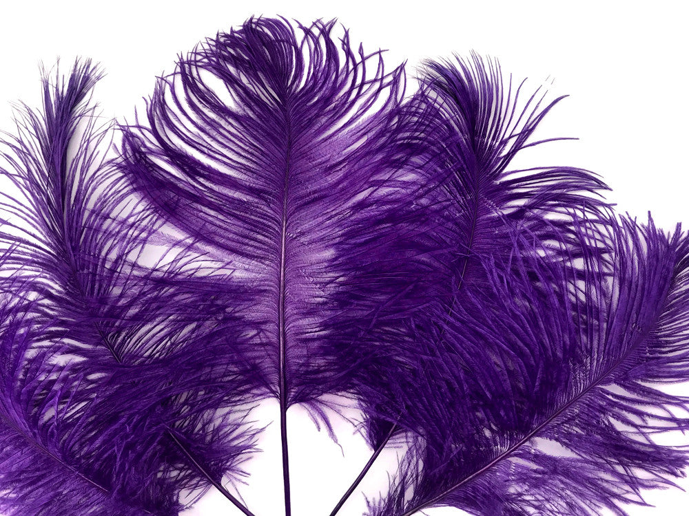 10 Pieces - 12-16" Purple Dyed Ostrich Tail Fancy Feathers