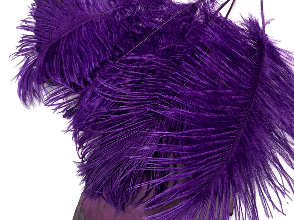 10 Pieces - 12-16" Purple Dyed Ostrich Tail Fancy Feathers