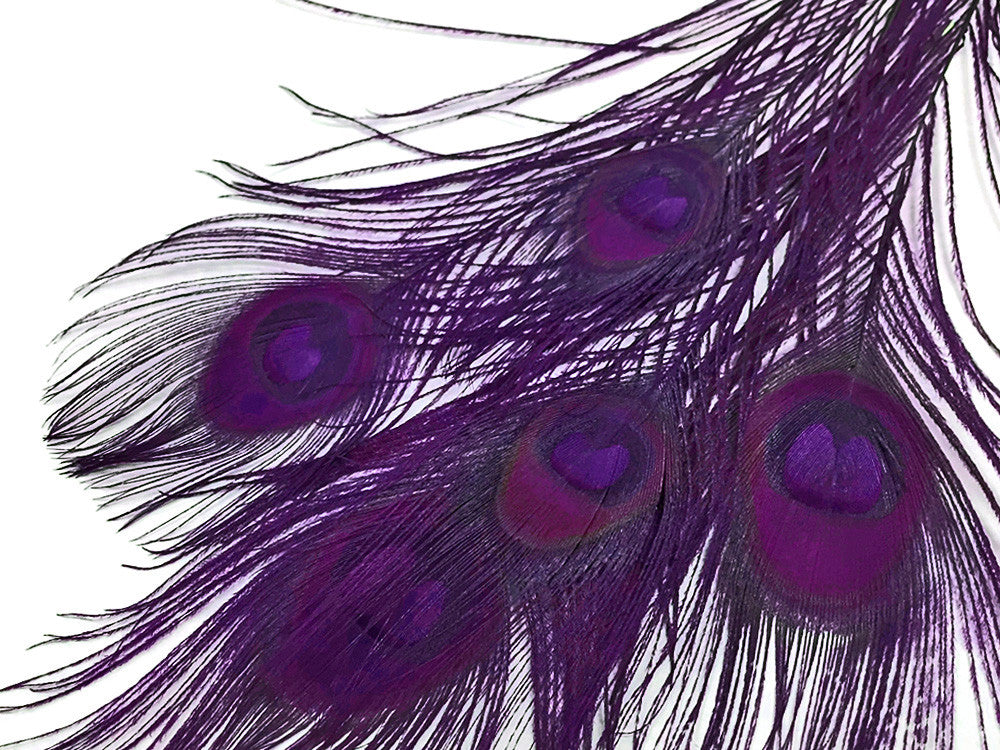 5 Pieces – Purple Bleached & Dyed Peacock Tail Eye Feathers 10-12” Long