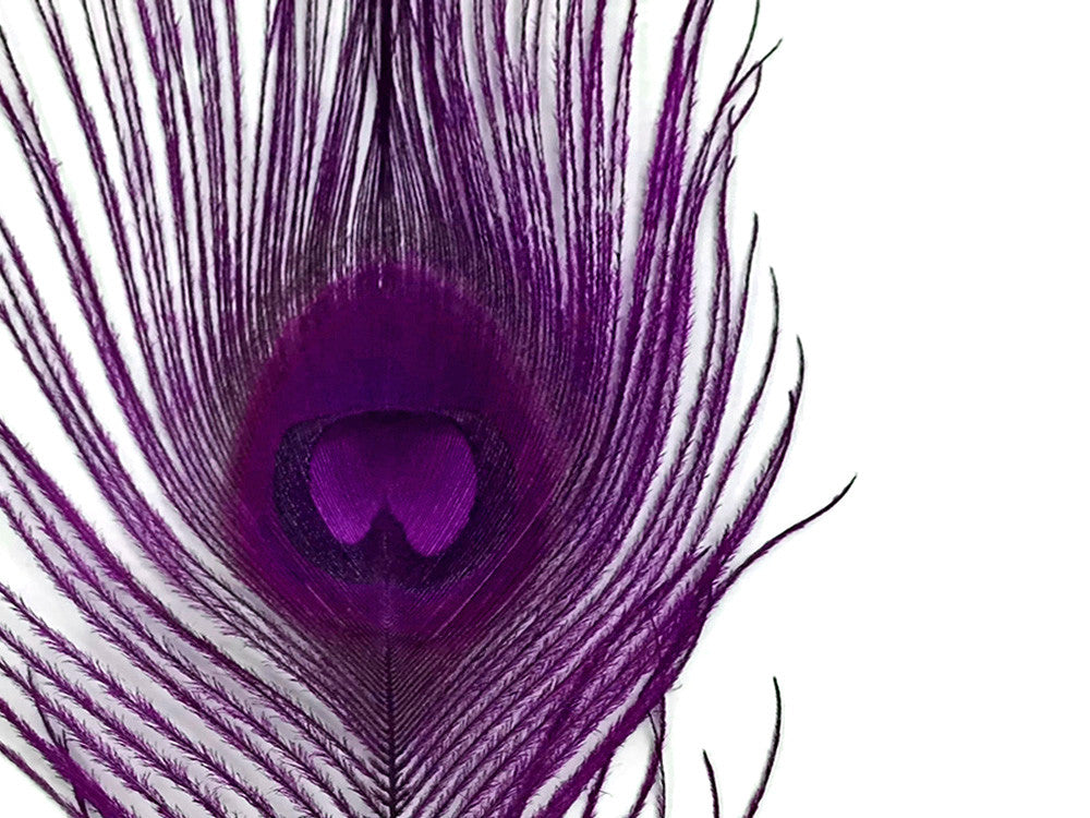 5 Pieces – Purple Bleached & Dyed Peacock Tail Eye Feathers 10-12” Long