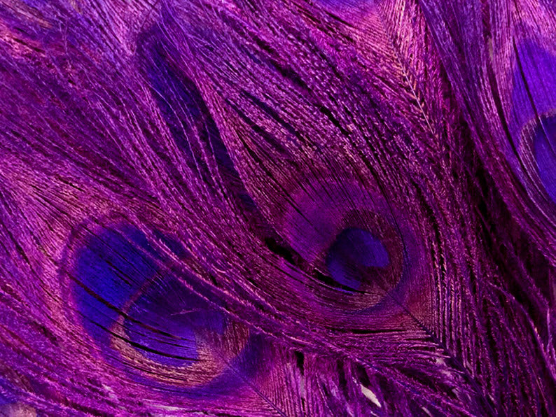 50 Pieces – Purple Bleached & Dyed Peacock Tail Eye Wholesale Feathers (Bulk) 10-12” Long