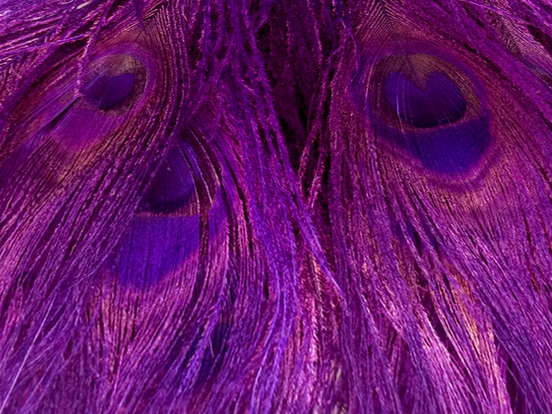 5 Pieces – Purple Bleached & Dyed Peacock Tail Eye Feathers 10-12” Long