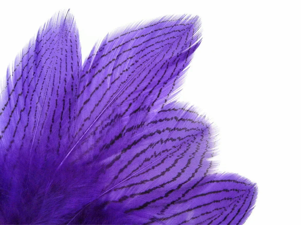 Vibrant purple feathers with black striped patterns for craft and fashion DIY supplies.