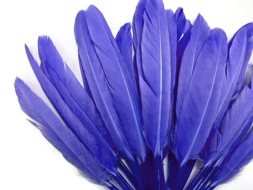 Vibrant blue feathers for DIY crafts, fashion, and decorative accessories.