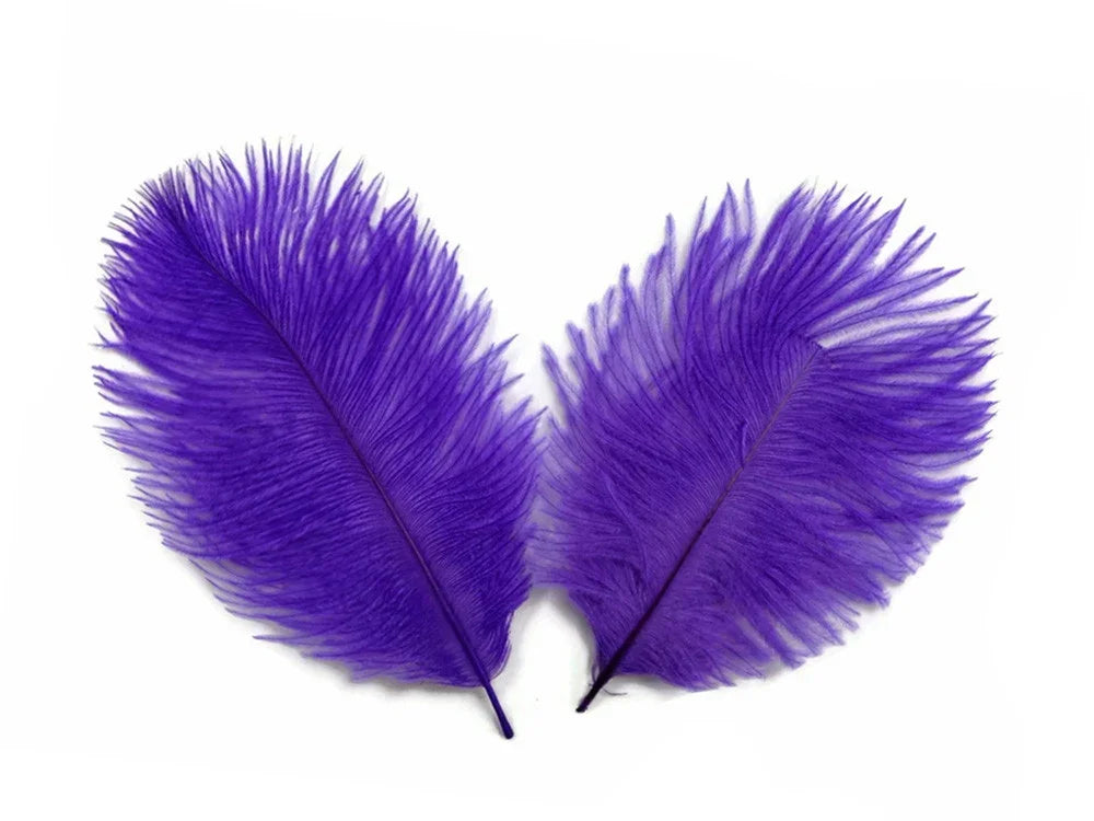 Two vibrant purple feathers arranged in a wing shape on a white background.