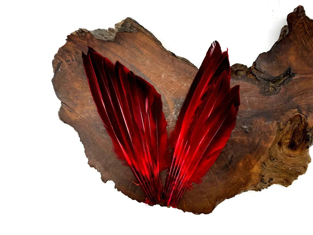 Vibrant red feathers displayed on a natural dark wood slice background for DIY crafts.