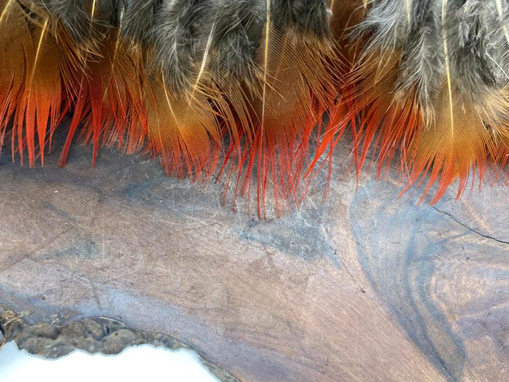 1 Yard - Natural Red Golden Pheasant Plumage Feather Trim