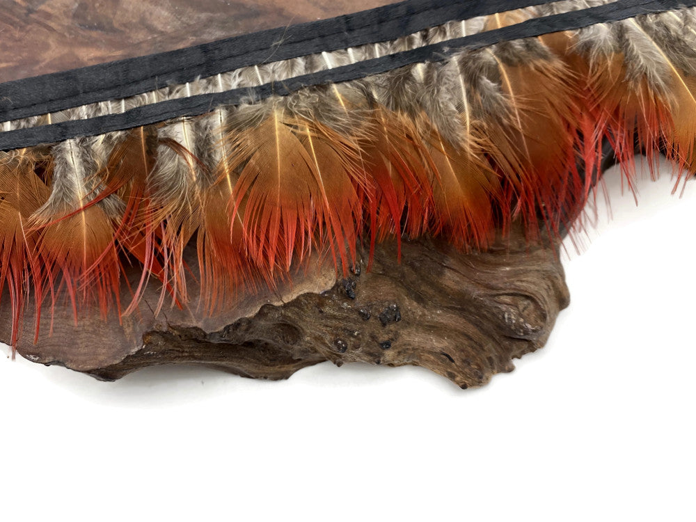 1 Yard - Natural Red Golden Pheasant Plumage Feather Trim
