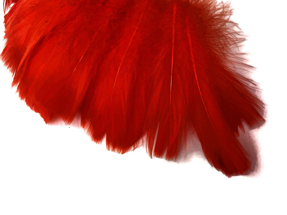 1 Pack - 2-3" Red Goose Coquille Loose Feathers - 0.35 Oz.