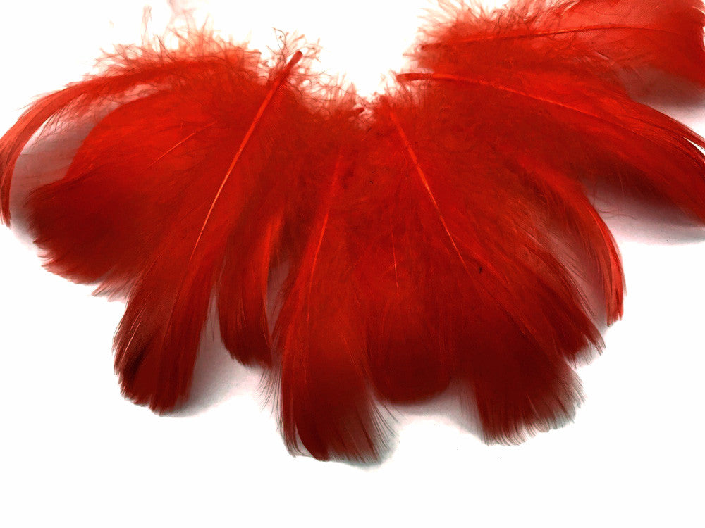 1 Pack - 2-3" Red Goose Coquille Loose Feathers - 0.35 Oz.