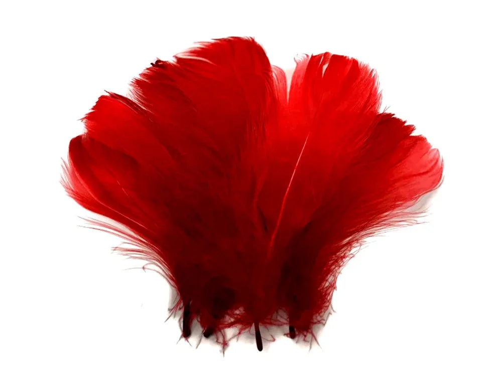 Vibrant red decorative feathers for DIY crafts and fashion accessories.