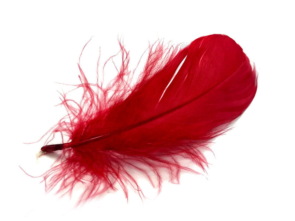 1 Pack - 2-3" Red Goose Coquille Loose Feathers - 0.35 Oz.