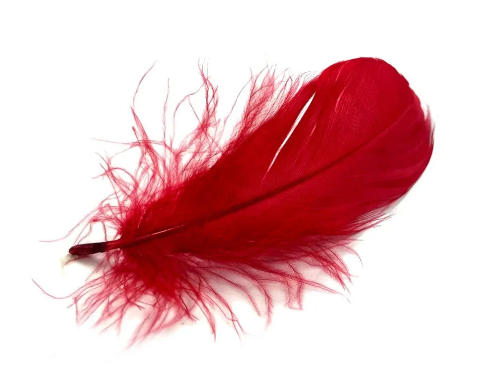 Vibrant red decorative feather for DIY crafts and fashion accessories.