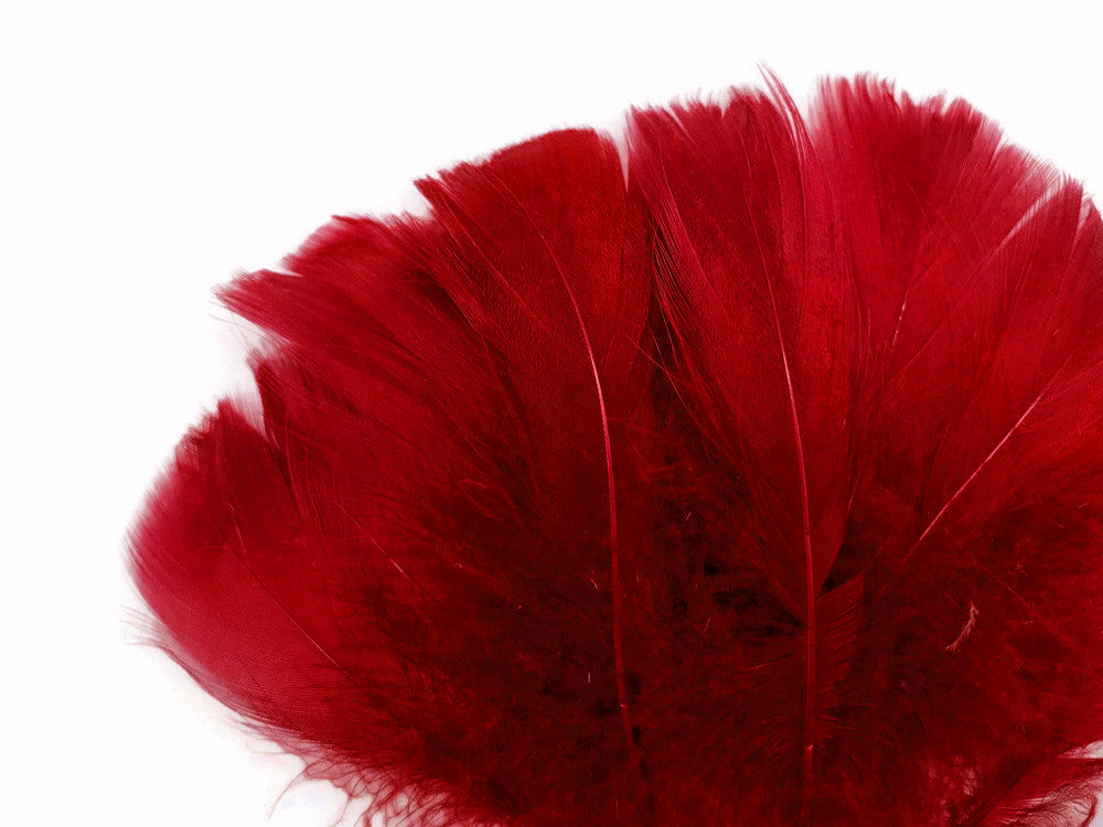1 Pack - 2-3" Red Goose Coquille Loose Feathers - 0.35 Oz.