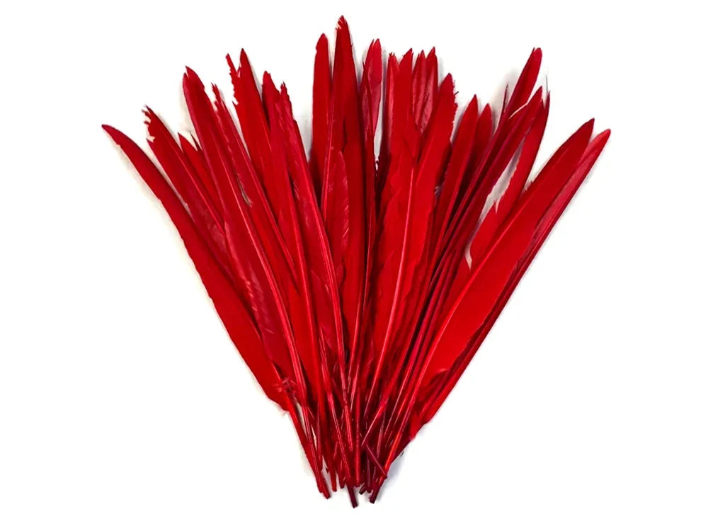 Vibrant red feathers for DIY crafts, fashion accessories, and costume décor.