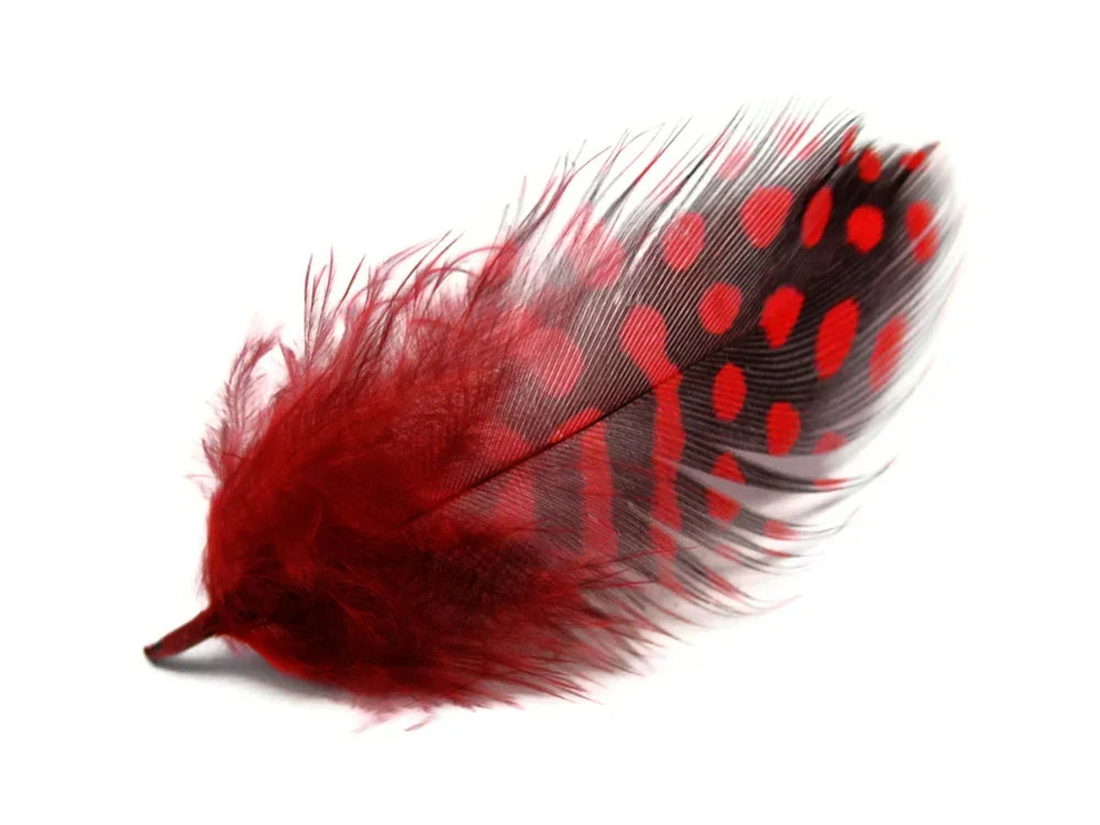 1 Pack - Red Guinea Hen Polka Dot Plumage Feathers 0.10 Oz.