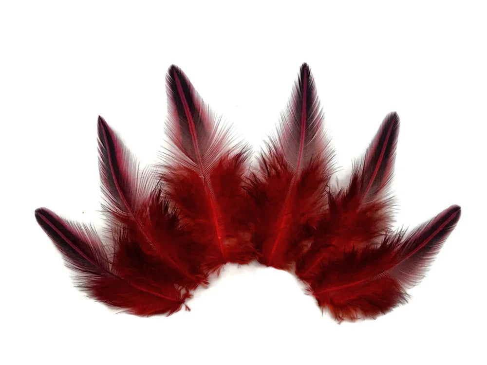 Deep red dyed feathers for DIY crafts and fashion accessories on a white background.