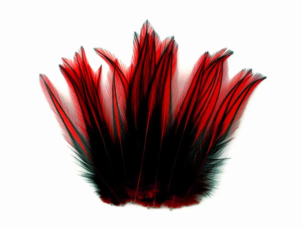 Vibrant red and black decorative feathers for DIY crafts and fashion accessories.