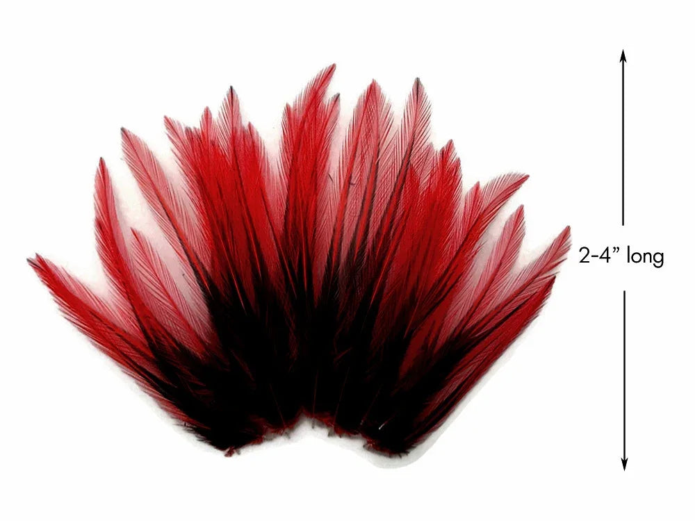 Red and black dyed craft feathers, 2-4 inches long for DIY fashion and décor.