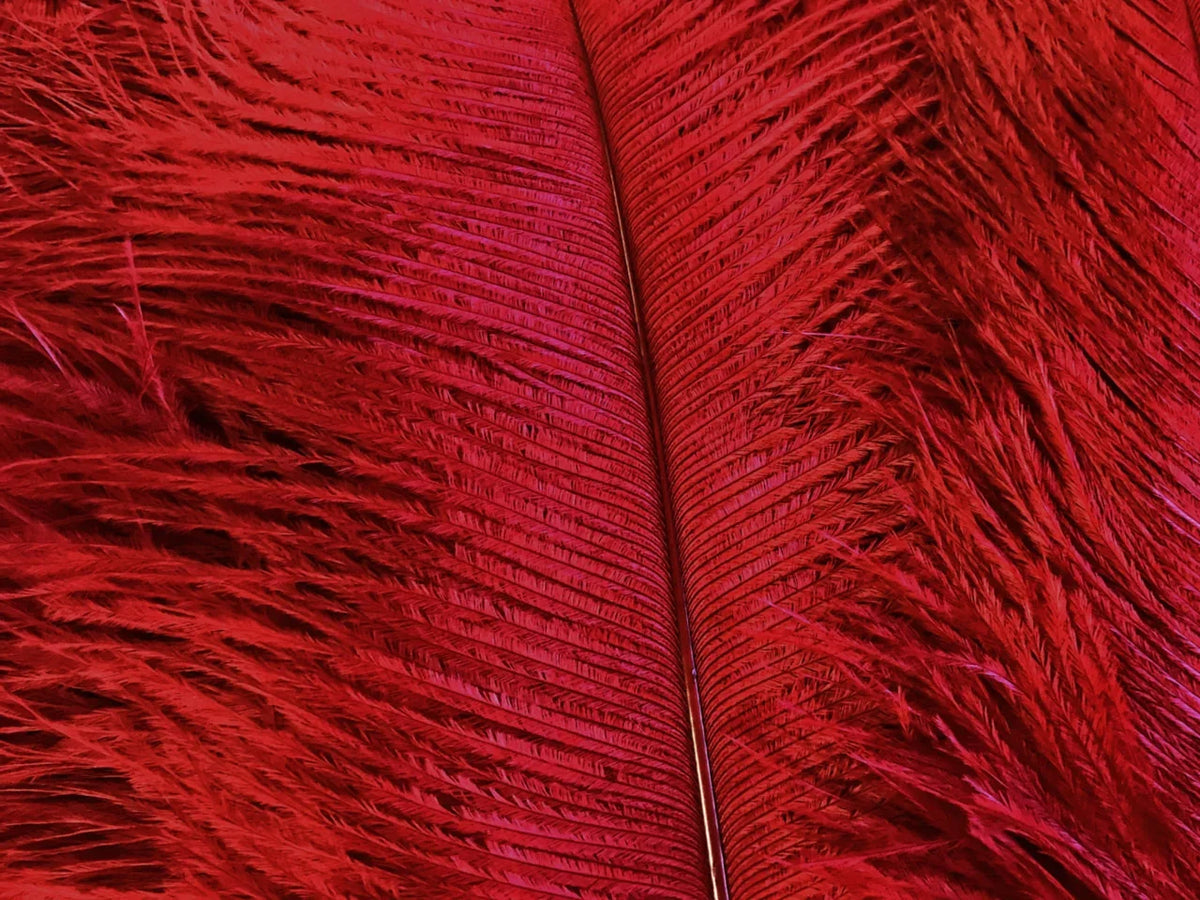 Close-up of vibrant red decorative feathers for crafts and fashion DIY supplies.