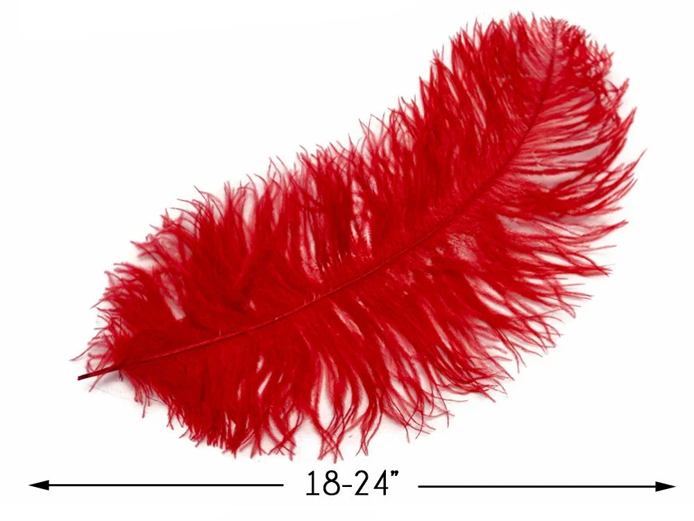 Vibrant red ostrich feather for DIY crafts and fashion decor, 18-24 inches long.