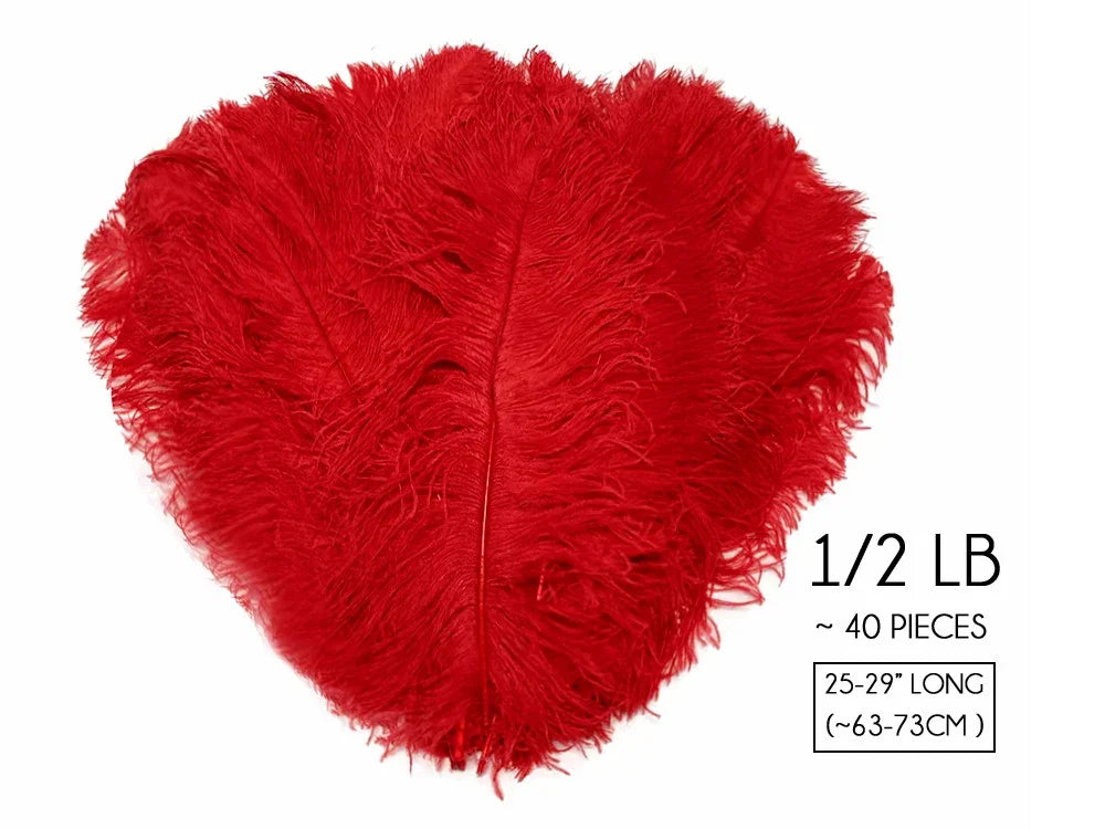 Vibrant red ostrich feathers for crafts and fashion decor, 25-29 inches long.