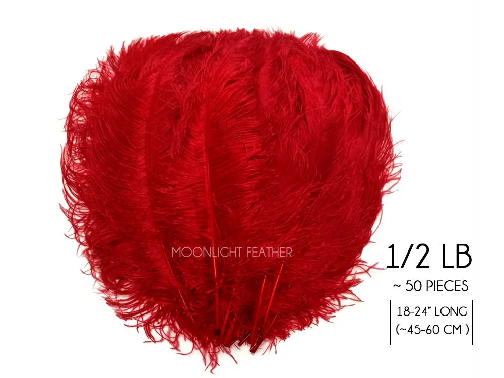 Bunch of red ostrich feathers, 1/2 lb pack, approximately 50 pieces, 18-24 inches long.