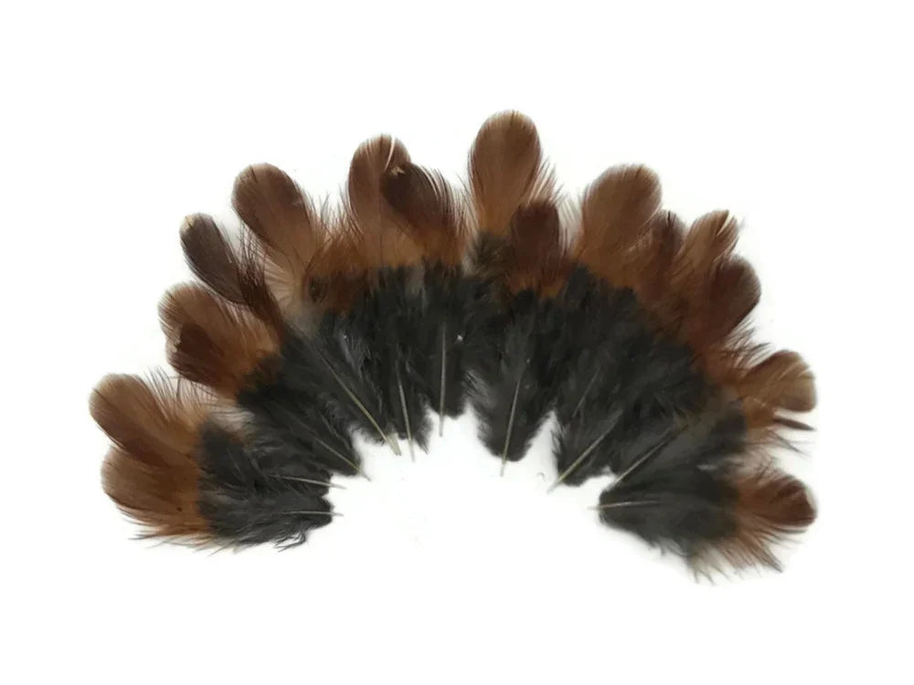 Natural brown and black decorative feathers arranged in a fan shape for crafts and fashion.