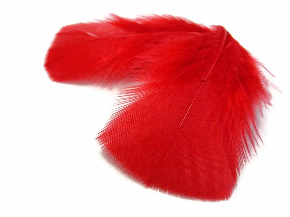 Vibrant red craft feather for DIY fashion and decor accessories.