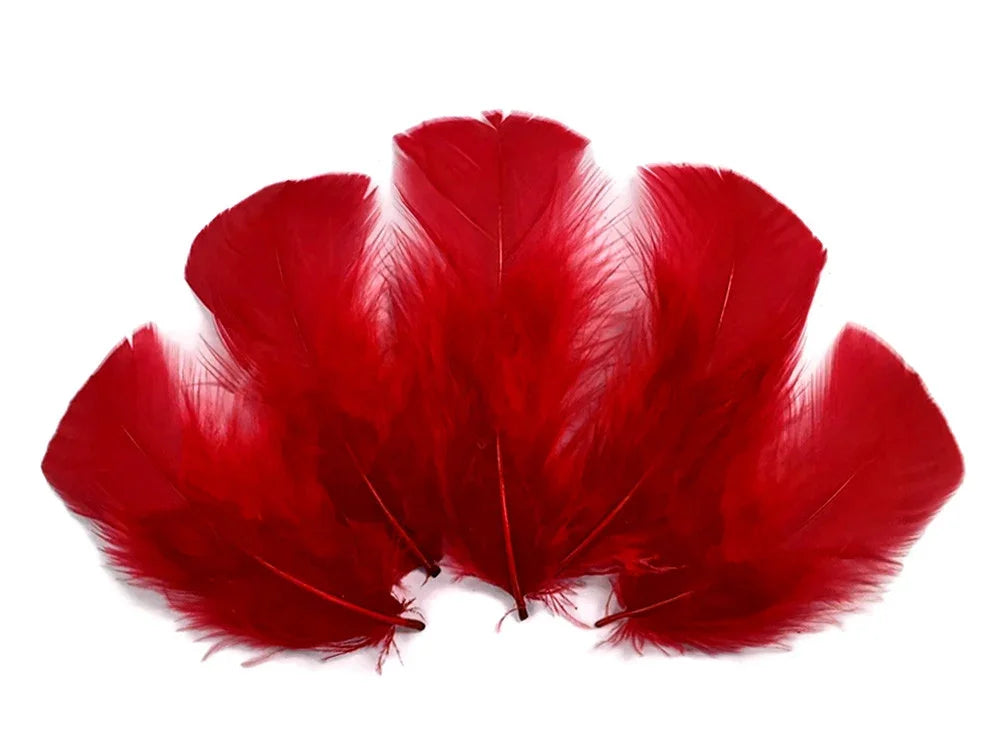 Vibrant red craft feathers arranged in a fan shape on a white background.