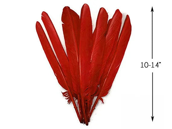 Bundle of vibrant red craft feathers, 10-14 inches long, for DIY fashion and decor.