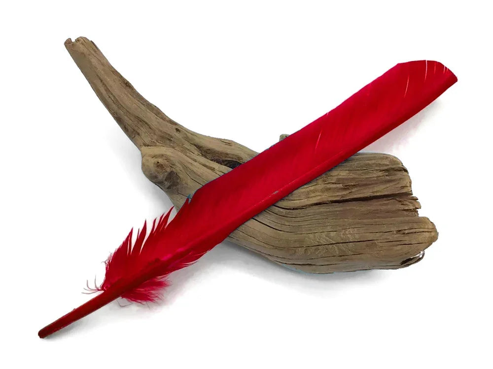 Vibrant red craft feather resting on a piece of natural driftwood.