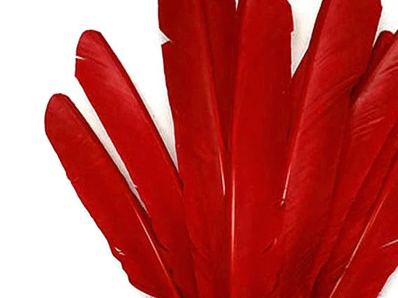 Vibrant red craft feathers for DIY fashion and decor accessories.