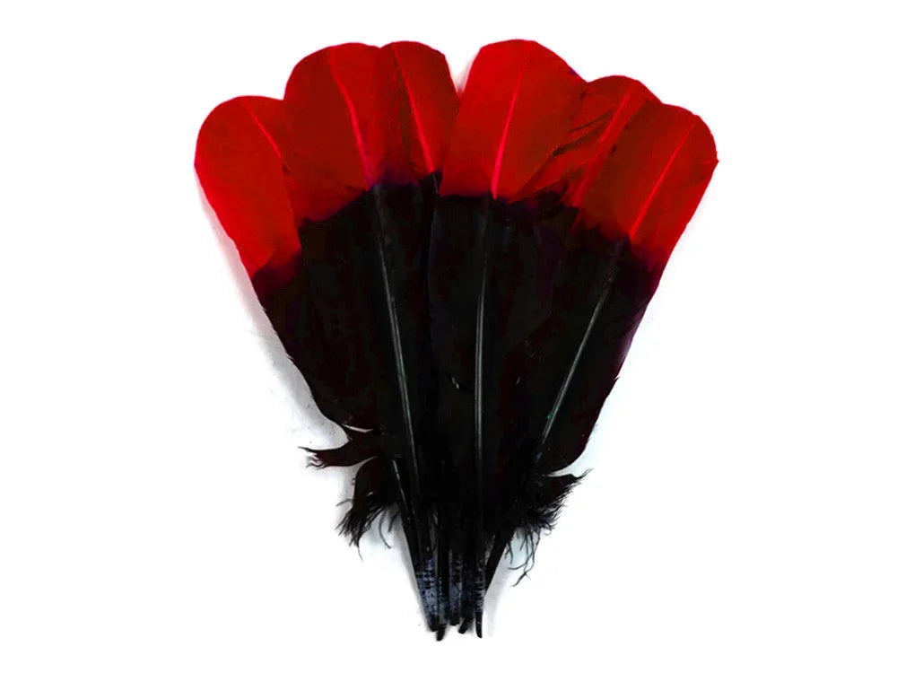 Red and black dyed feathers for DIY crafts and fashion decor