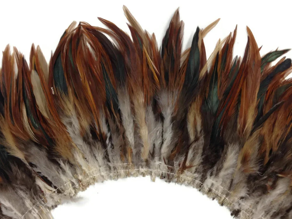Natural brown and tan assorted feathers arranged in a decorative fan shape.