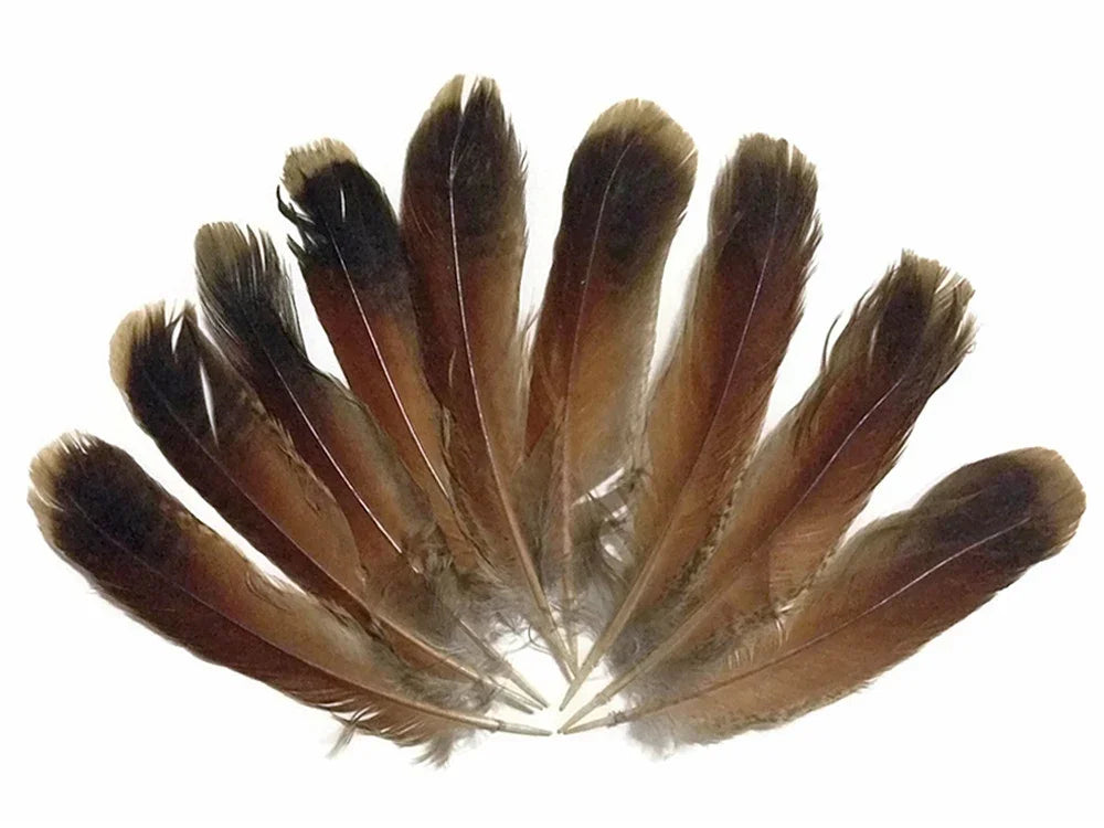 Natural brown and black patterned feathers arranged in a decorative fan shape.