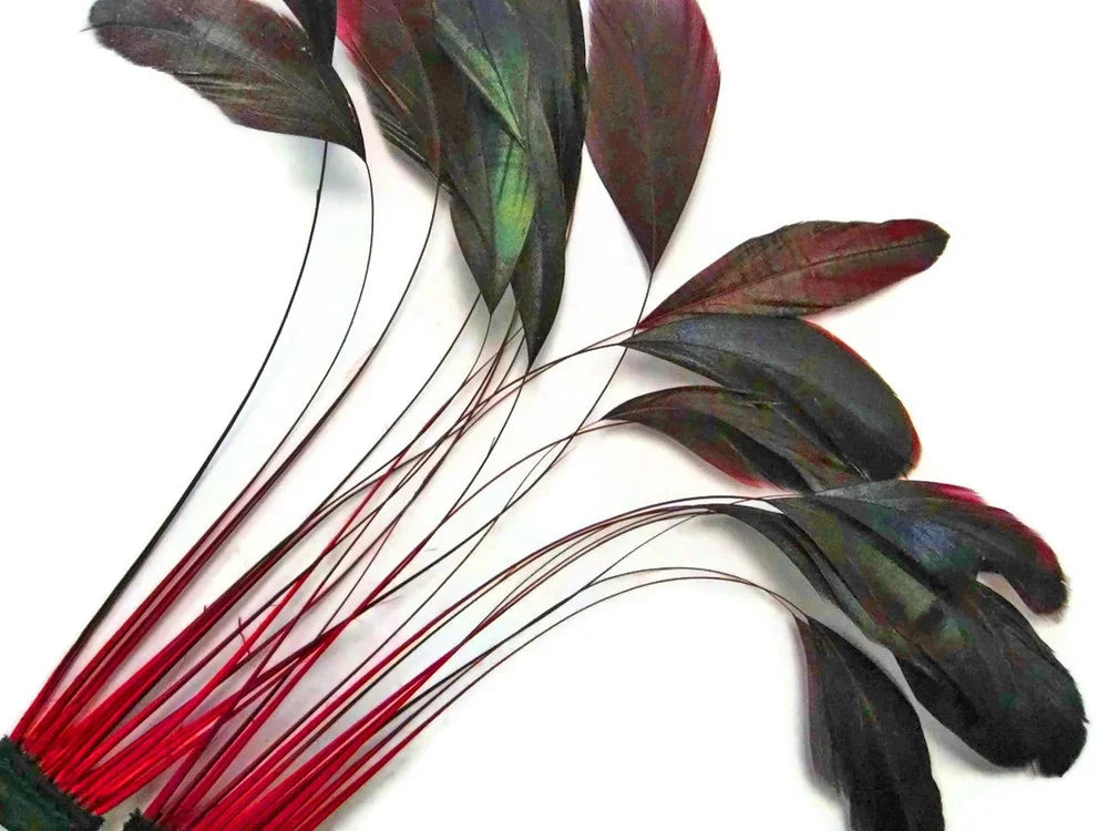 Iridescent dark feathers with vibrant red quills for DIY crafts and fashion decor.