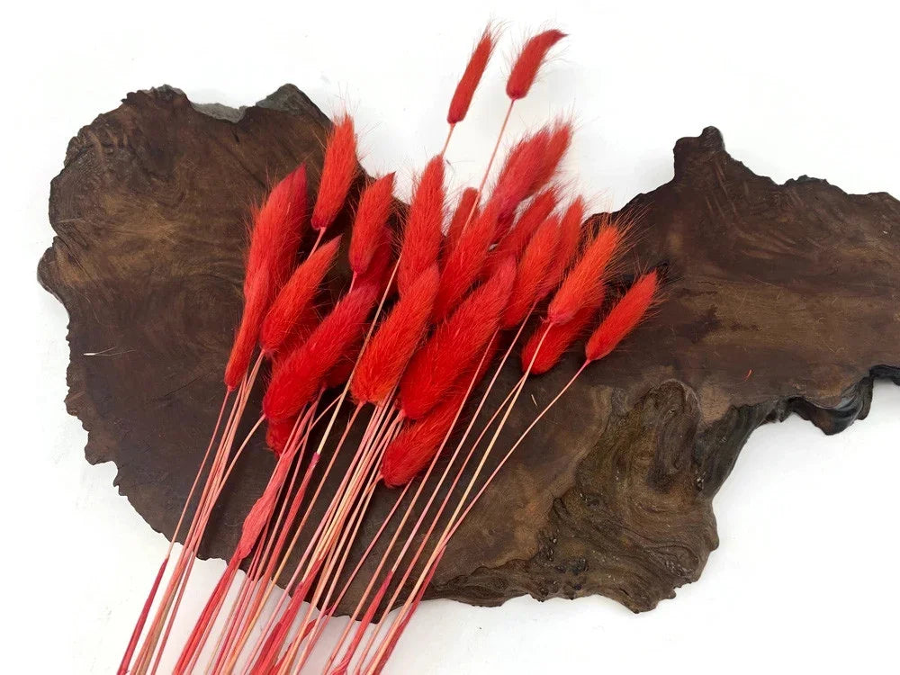 Vibrant red dried bunny tail grass stems on a natural dark wood slice.
