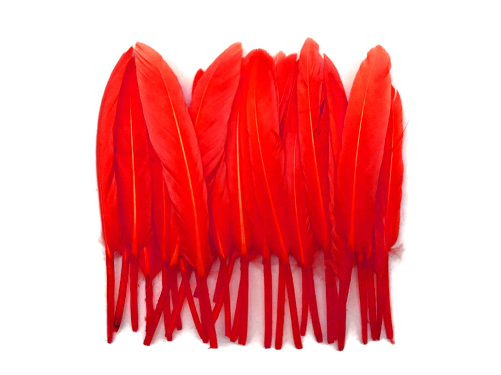 Vibrant red craft feathers arranged in a row on a white background.