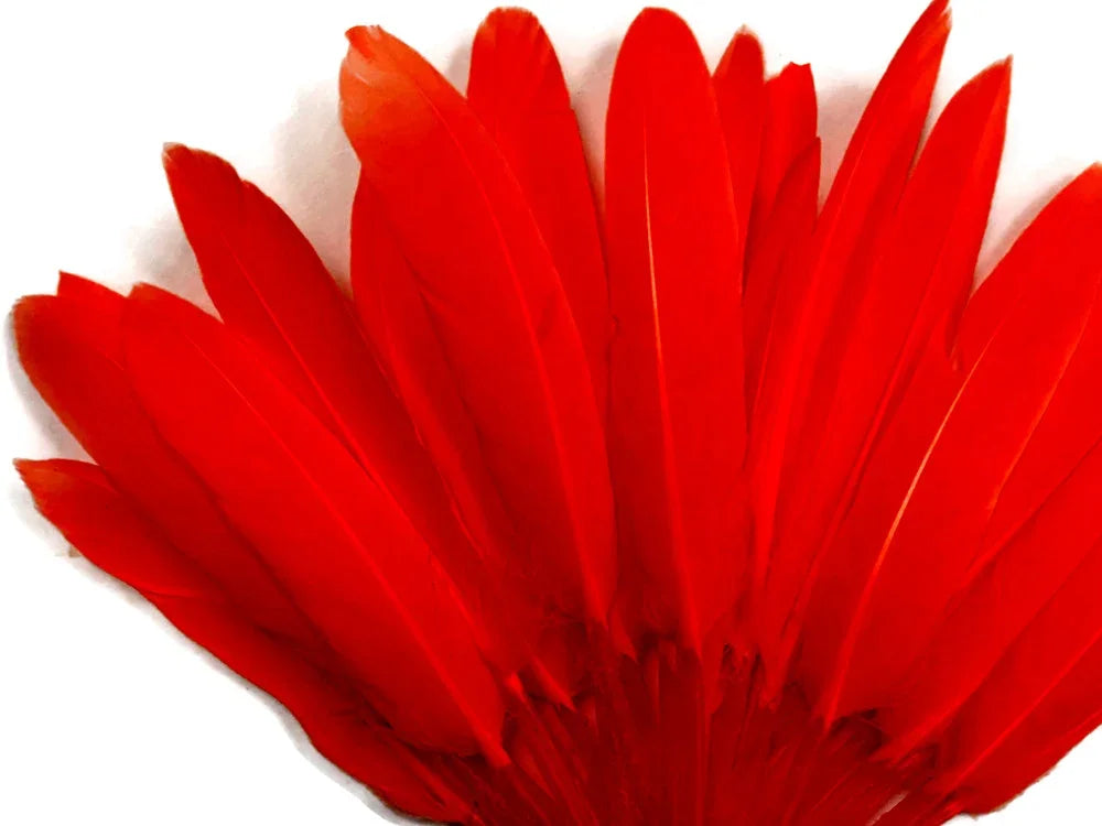 Vibrant red feathers arranged in a decorative fan shape for crafts and fashion DIY.