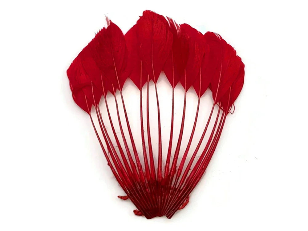 Vibrant red dyed feathers with long stems for DIY crafts and fashion accessories.