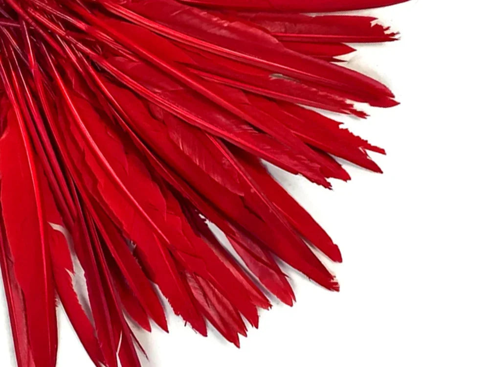 1/4 lbs. - Red Duck Pointer Primary Wing Wholesale Feathers (Bulk)