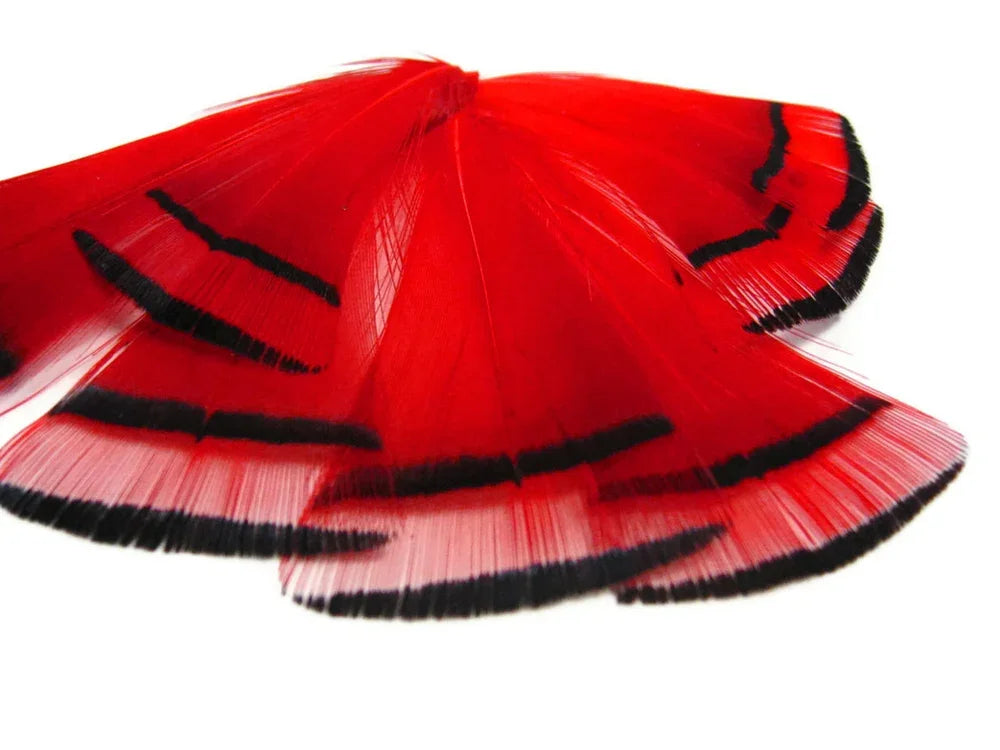 1 Dozen - Red Dyed Golden Pheasant Tippet Neck Plumage Feather