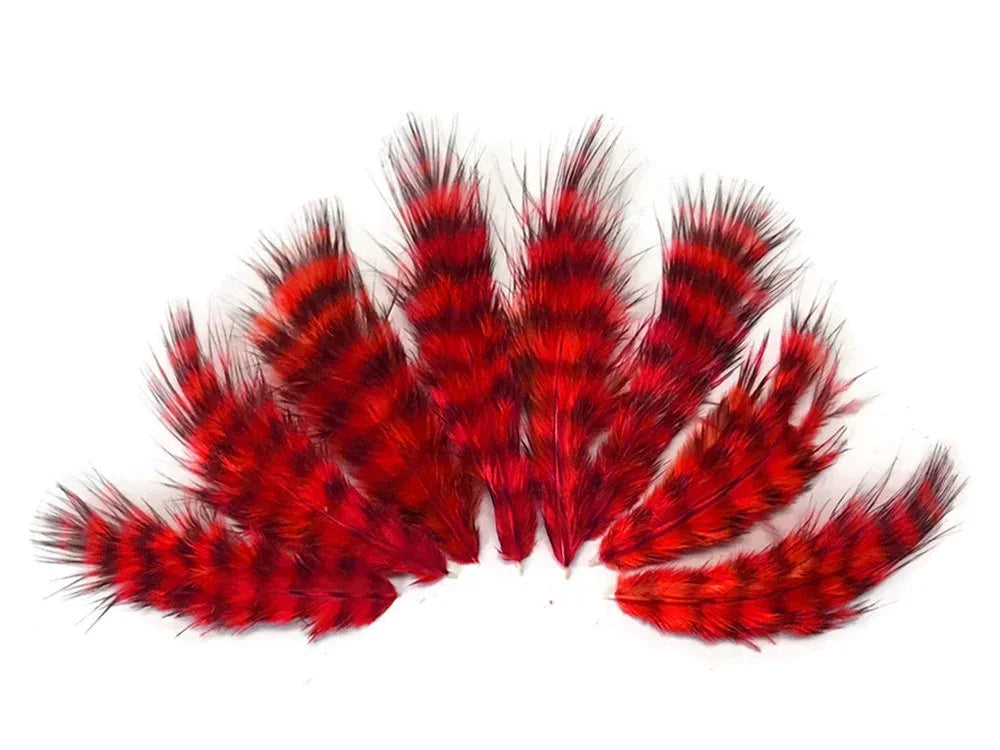 Vibrant red and black striped feathers for crafts and DIY fashion decor.