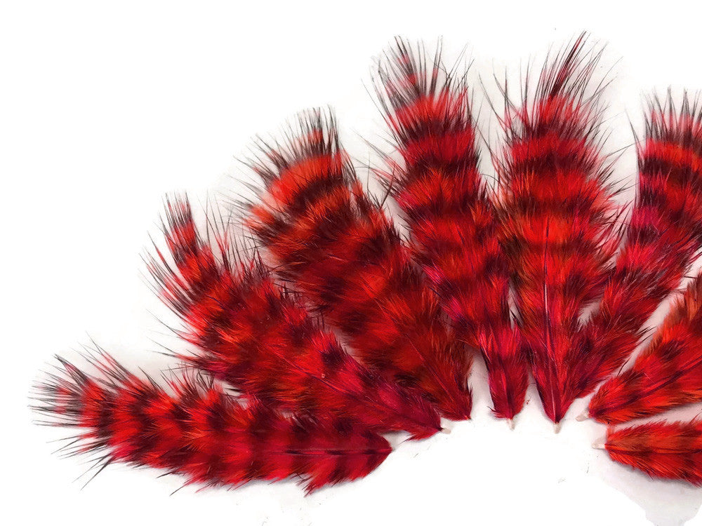 1 Dozen - Red Grizzly Mini Rooster Chickabou Fluff Whiting Hair Feathers